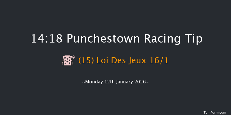 Punchestown 14-18 19f Sun 11th Jan 2026