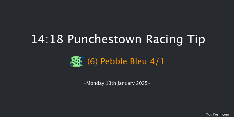 Punchestown  14:18 Handicap Hurdle 20f Sun 12th Jan 2025
