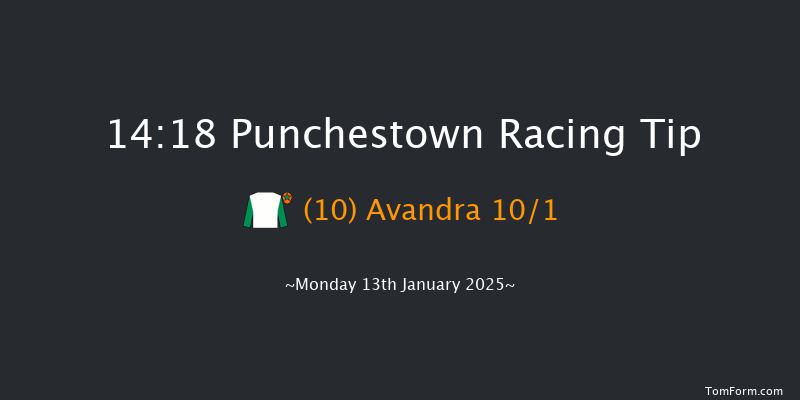Punchestown  14:18 Handicap Hurdle 20f Sun 12th Jan 2025