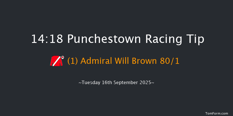 Punchestown 14-18 8f Sun 8th Jun 2025