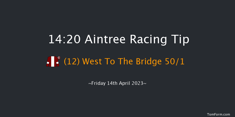 Aintree 14:20 Handicap Hurdle (Class 1) 20f Thu 13th Apr 2023