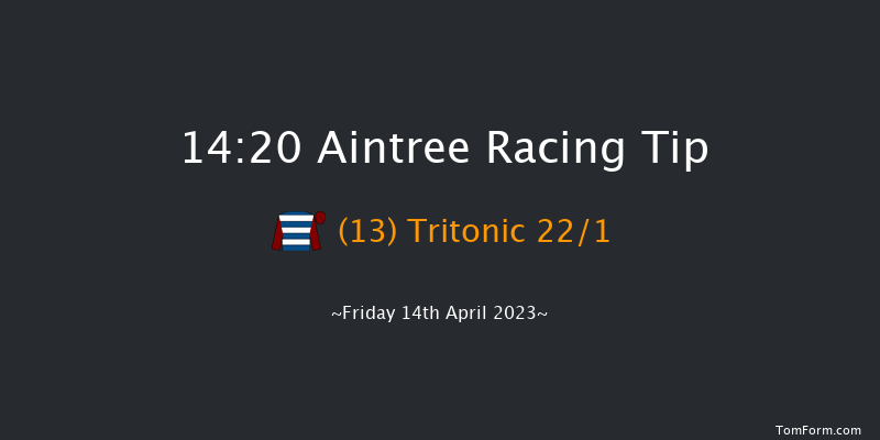 Aintree 14:20 Handicap Hurdle (Class 1) 20f Thu 13th Apr 2023