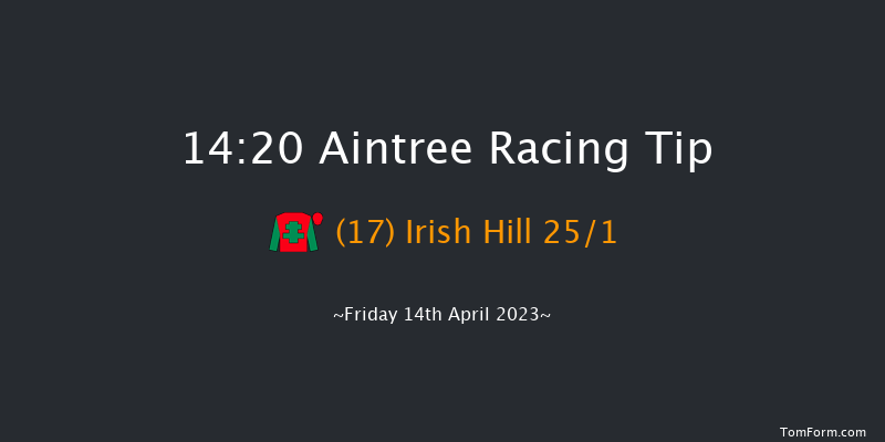 Aintree 14:20 Handicap Hurdle (Class 1) 20f Thu 13th Apr 2023