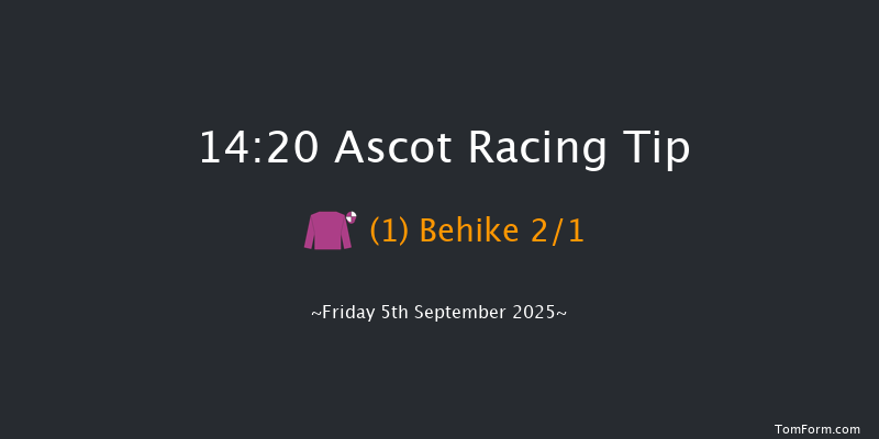 Ascot 14-20 (Class 3) 7f Sat 9th Aug 2025