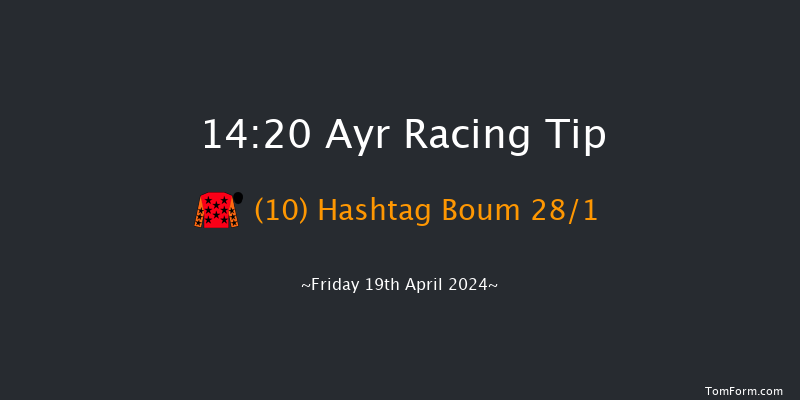 Ayr  14:20 Handicap Hurdle (Class 3) 24f Sat 9th Mar 2024