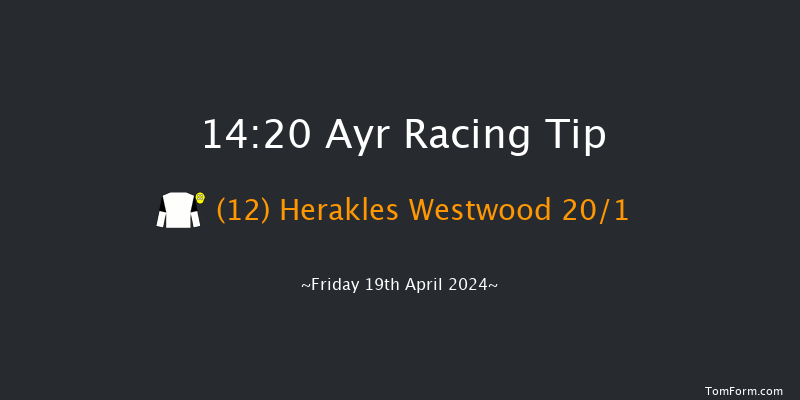 Ayr  14:20 Handicap Hurdle (Class 3) 24f Sat 9th Mar 2024