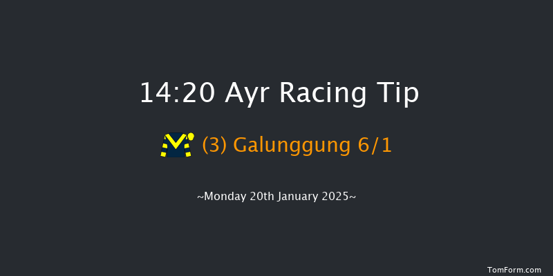 Ayr  14:20 Handicap Chase (Class 3) 16f Mon 6th Jan 2025