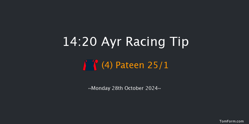 Ayr  14:20 Handicap Hurdle (Class 5) 20f Thu 10th Oct 2024
