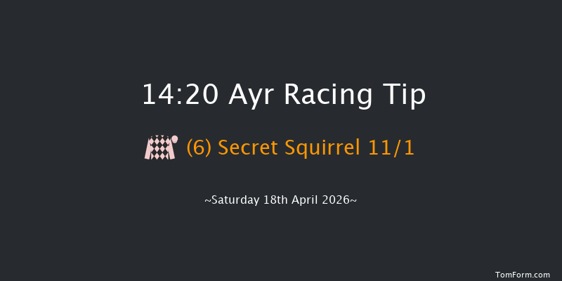 Ayr 14-20 (Class 1) 16f Fri 17th Apr 2026