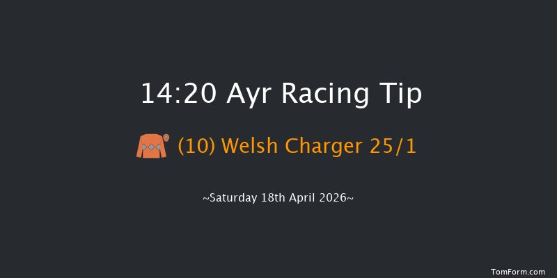Ayr 14-20 (Class 1) 16f Fri 17th Apr 2026