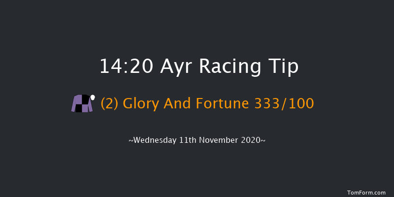 William Hill Extra Places Every Day Novices' Limited Handicap Chase (GBB Race) Ayr 14:20 Handicap Chase (Class 3) 16f Sat 31st Oct 2020