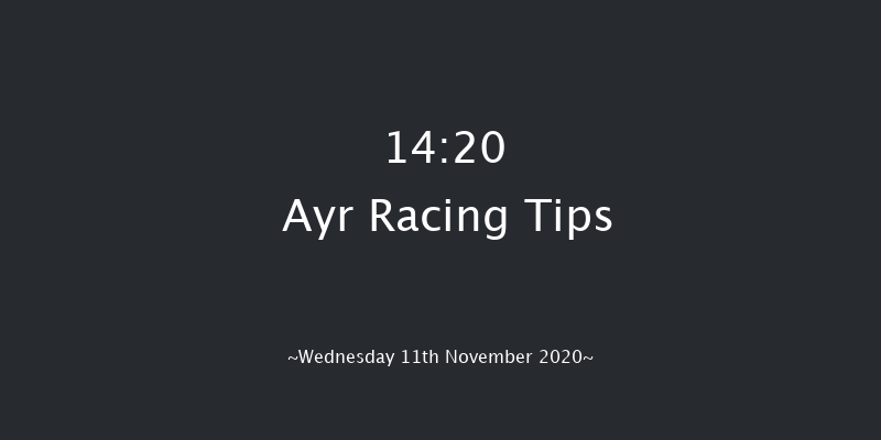 William Hill Extra Places Every Day Novices' Limited Handicap Chase (GBB Race) Ayr 14:20 Handicap Chase (Class 3) 16f Sat 31st Oct 2020