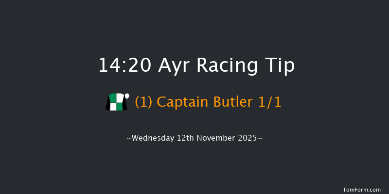 Ayr 14-20 (Class 4) 20f Sat 1st Nov 2025