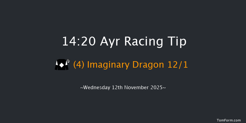 Ayr 14-20 (Class 4) 20f Sat 1st Nov 2025