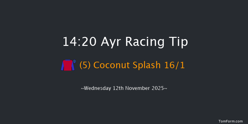 Ayr 14-20 (Class 4) 20f Sat 1st Nov 2025