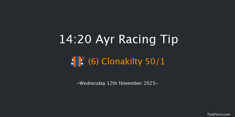 Ayr 14-20 (Class 4) 20f Sat 1st Nov 2025