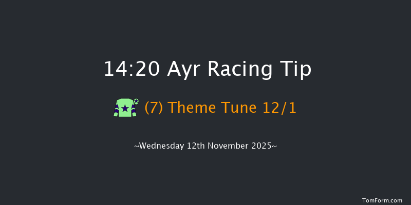 Ayr 14-20 (Class 4) 20f Sat 1st Nov 2025