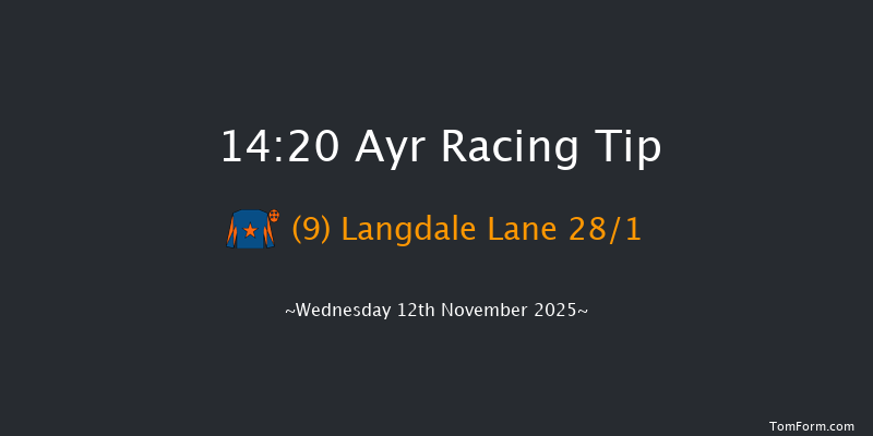 Ayr 14-20 (Class 4) 20f Sat 1st Nov 2025