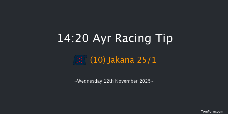 Ayr 14-20 (Class 4) 20f Sat 1st Nov 2025