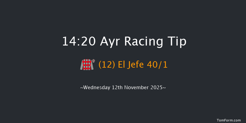 Ayr 14-20 (Class 4) 20f Sat 1st Nov 2025