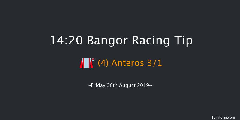 Bangor 14:20 Handicap Chase (Class 4) 24f Mon 19th Aug 2019