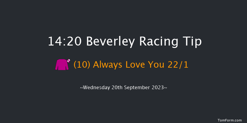 Beverley 14:20 Maiden (Class 5) 5f Sat 2nd Sep 2023