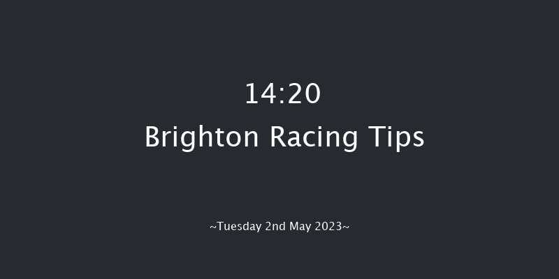 Brighton 14:20 Handicap (Class 6) 12f Sat 22nd Apr 2023
