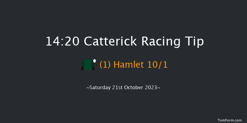 Catterick 14:20 Stakes (Class 5) 6f Wed 4th Oct 2023