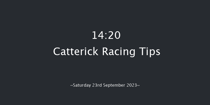 Catterick 14:20 Maiden (Class 5) 6f Tue 12th Sep 2023