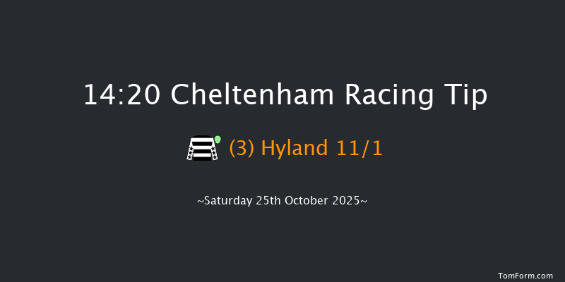 Cheltenham 14-20 (Class 2) 25f Fri 24th Oct 2025