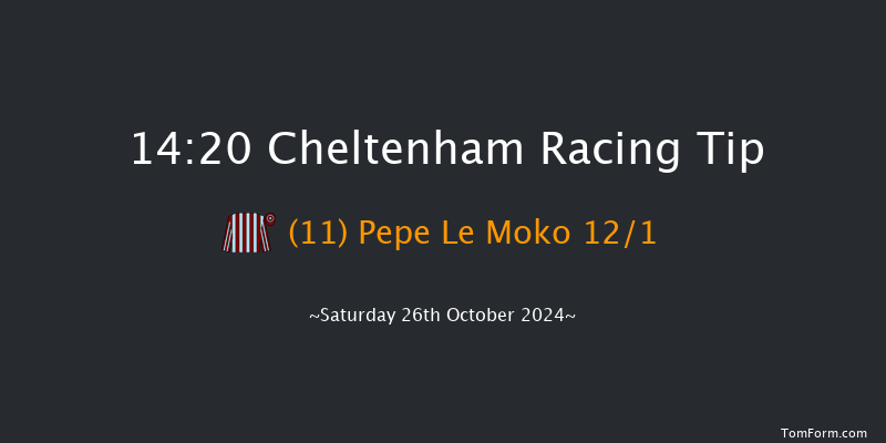 Cheltenham  14:20 Handicap Chase (Class 2) 25f Fri 25th Oct 2024