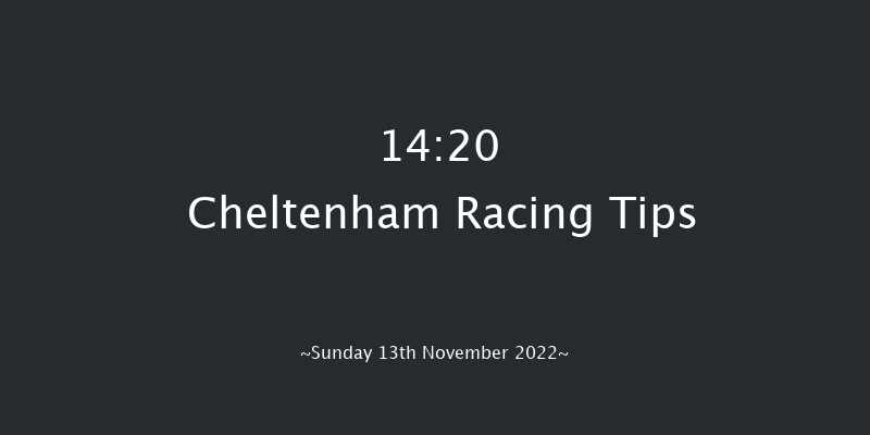 Cheltenham 14:20 Handicap Chase (Class 1) 27f Sat 12th Nov 2022