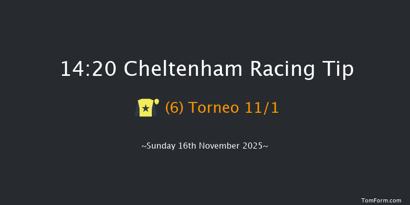 Cheltenham 14-20 (Class 3) 15f Sat 15th Nov 2025