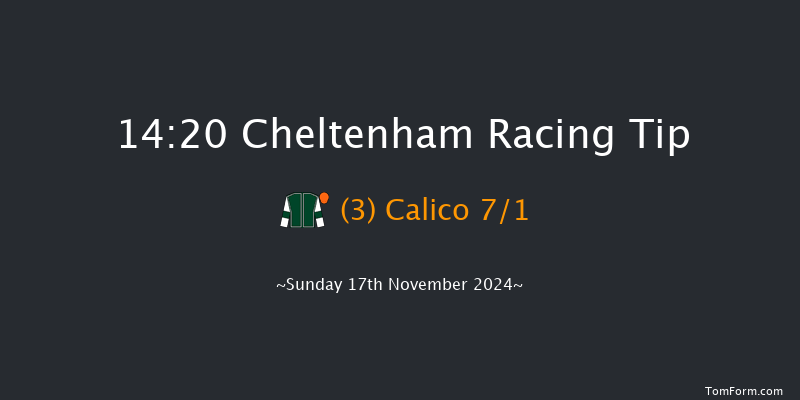 Cheltenham  14:20 Handicap Chase (Class 2) 16f  Sat 16th Nov 2024