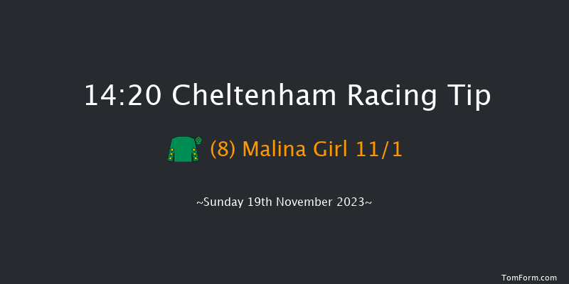 Cheltenham 14:20 Handicap Chase (Class 1) 27f Sat 18th Nov 2023