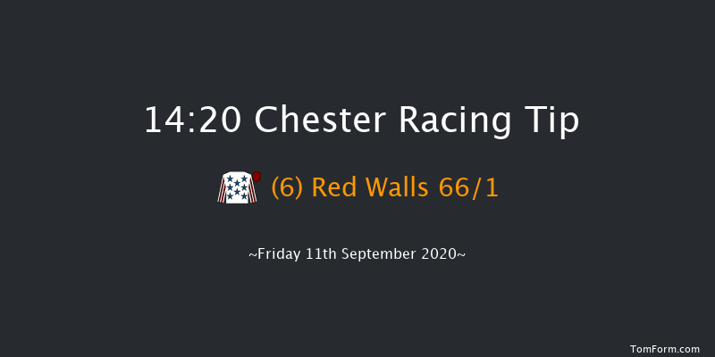 Retraining Of Racehorses (ROR) EBF Novice Stakes (Plus 10) Chester 14:20 Stakes (Class 4) 8f Thu 20th Aug 2020
