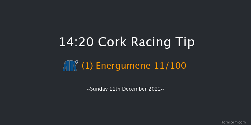 Cork 14:20 Conditions Chase 17f Sun 20th Nov 2022