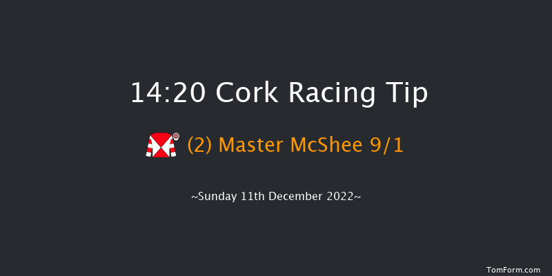 Cork 14:20 Conditions Chase 17f Sun 20th Nov 2022