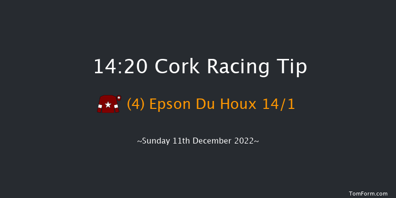 Cork 14:20 Conditions Chase 17f Sun 20th Nov 2022