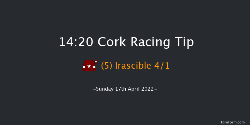 Cork 14:20 Conditions Hurdle 16f Sat 16th Apr 2022