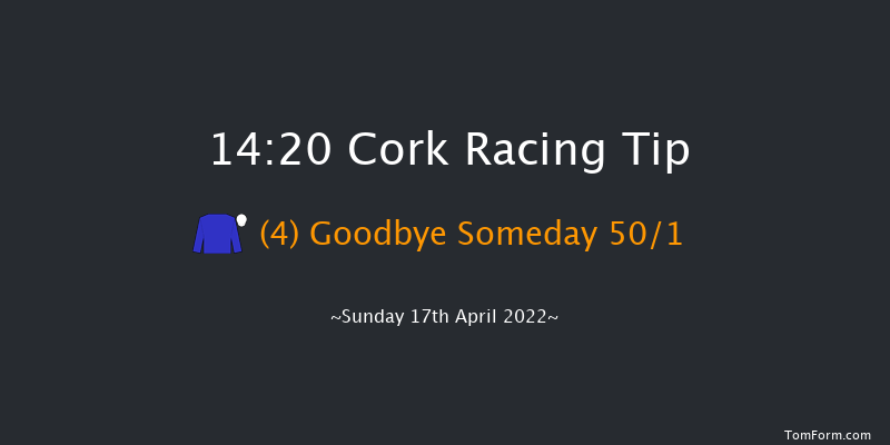 Cork 14:20 Conditions Hurdle 16f Sat 16th Apr 2022