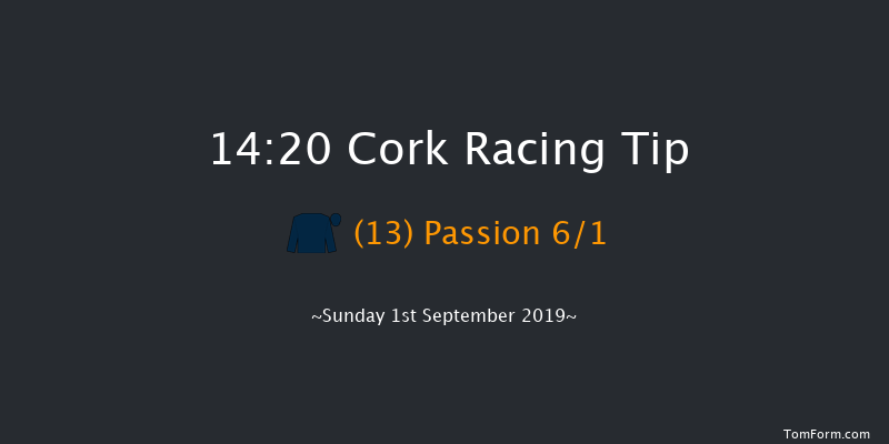 Cork 14:20 Maiden 8f Sat 17th Aug 2019