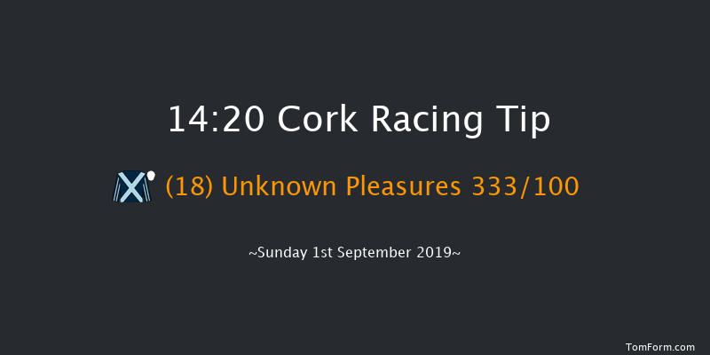 Cork 14:20 Maiden 8f Sat 17th Aug 2019