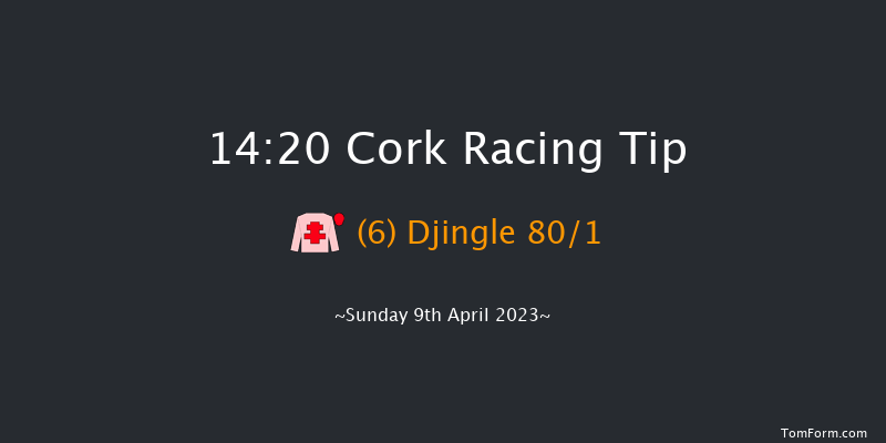 Cork 14:20 Conditions Hurdle 16f Sat 8th Apr 2023
