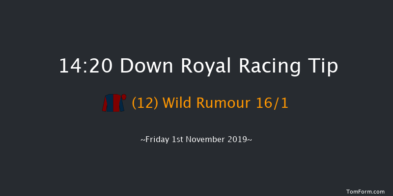 Down Royal 14:20 Handicap Hurdle 24f Sat 31st Aug 2019
