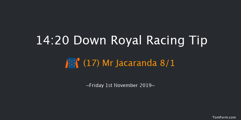 Down Royal 14:20 Handicap Hurdle 24f Sat 31st Aug 2019