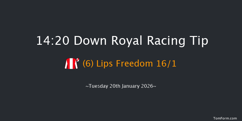 Down Royal 14-20 17f Fri 26th Dec 2025
