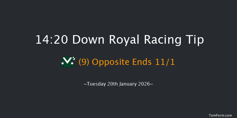 Down Royal 14-20 17f Fri 26th Dec 2025