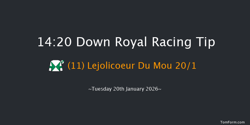 Down Royal 14-20 17f Fri 26th Dec 2025