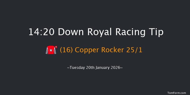 Down Royal 14-20 17f Fri 26th Dec 2025